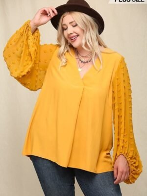 Woven And Textured Chiffon Top With Voluminous Sheer Sleeves