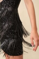 Fringe Sequin Bra Top Bodycon Party Dress - Image 6
