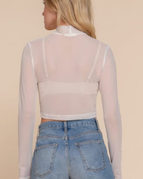 long sleeve mock neck mesh top