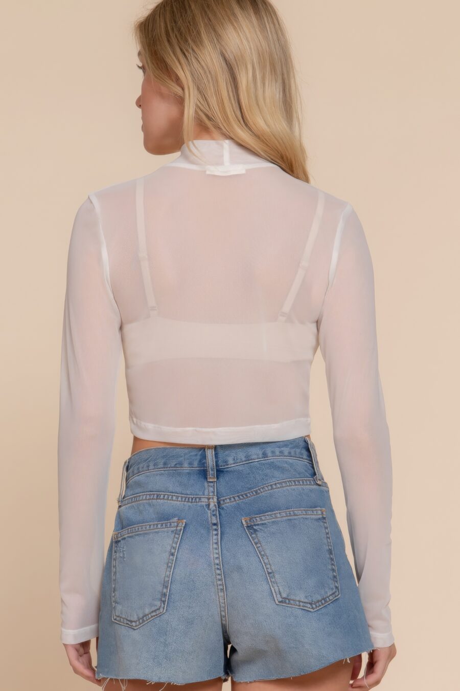 Long sleeve mock neck mesh top