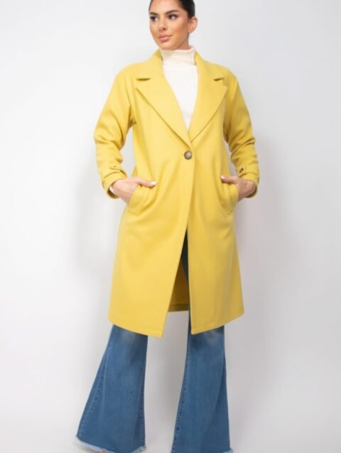 Collar pocketed coat