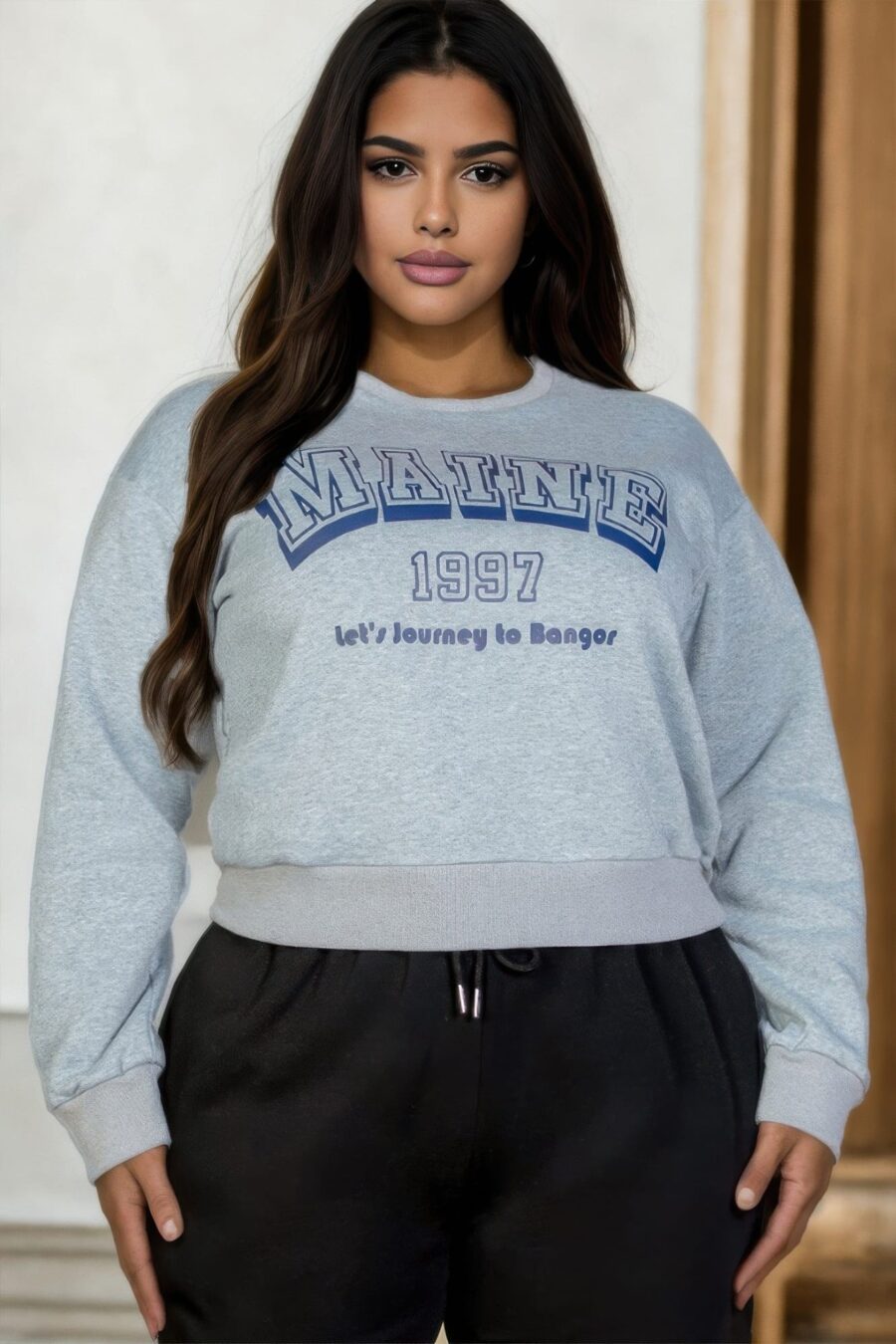 Plus size graphic drop shoulder sweatshirt