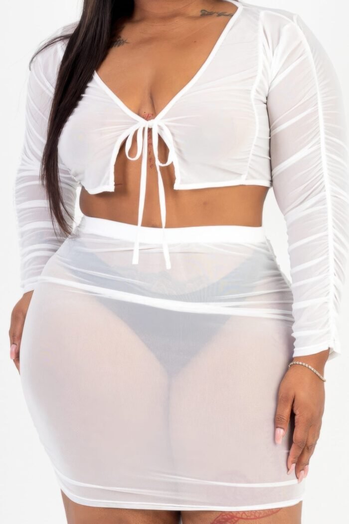 Plus size sheer mesh tie front crop top & ruched side mini dress