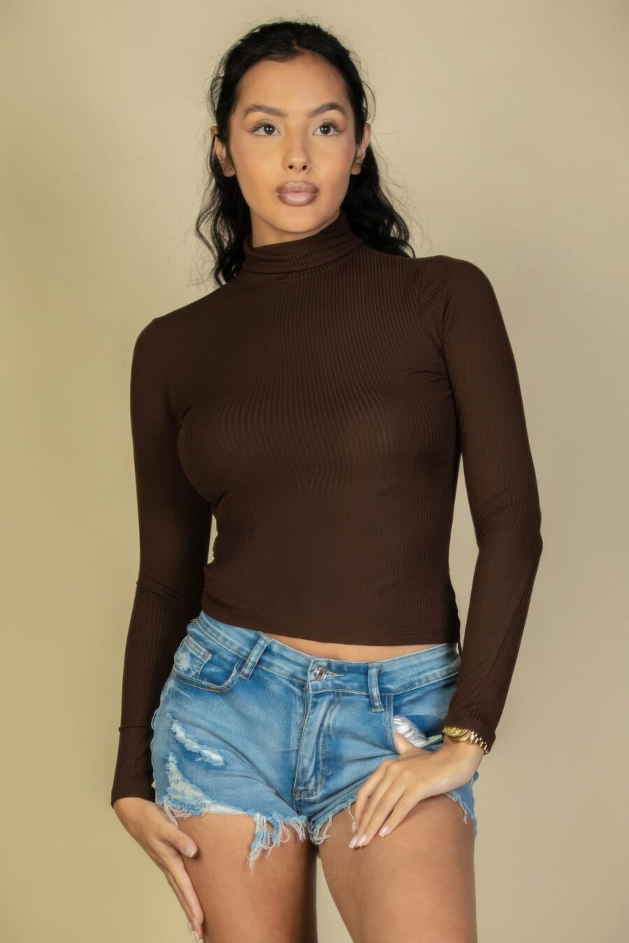 Ribbed turtleneck long sleeve top