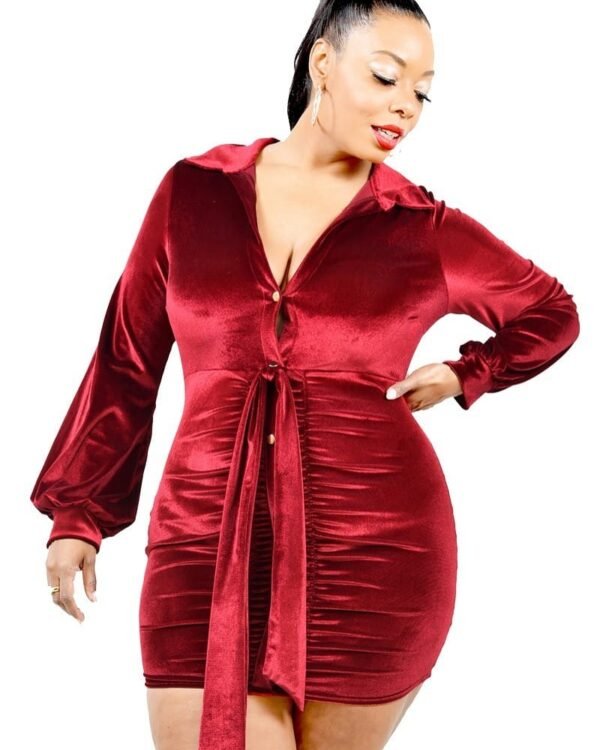 Plus Velvet Bishop Sleeve Mini Dress