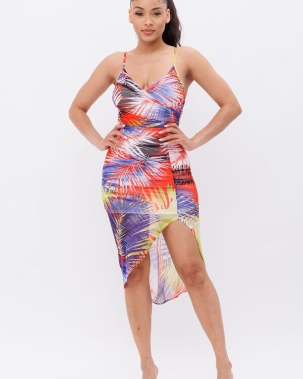 Printed Mesh Dress