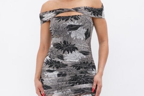 Printed Mesh Off Shoulder Dress