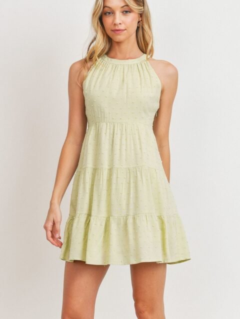 Roundneck Sleeveless Dotted Swiss Dress