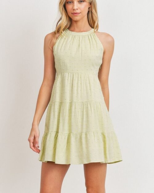 Roundneck Sleeveless Dotted Swiss Dress