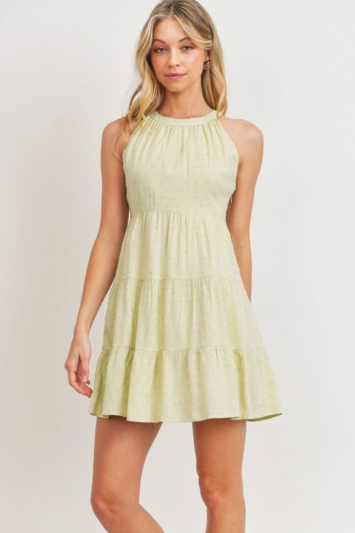 Roundneck sleeveless dotted swiss dress - image 1
