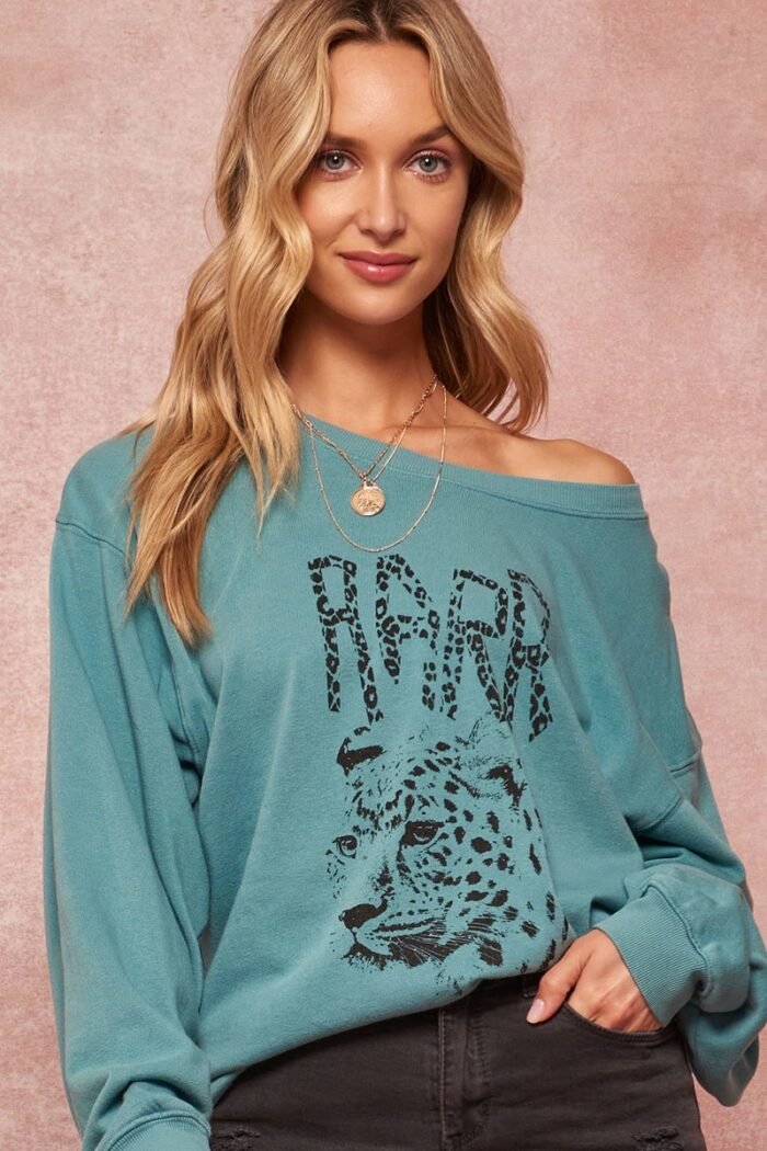 A garment dyed french terry graphic sweatshirt
