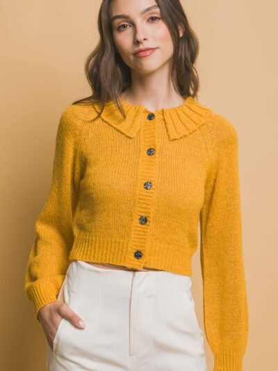 Short collard sweater