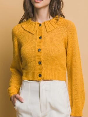Short collard sweater