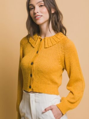 Short collard sweater