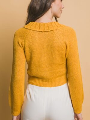 Short collard sweater