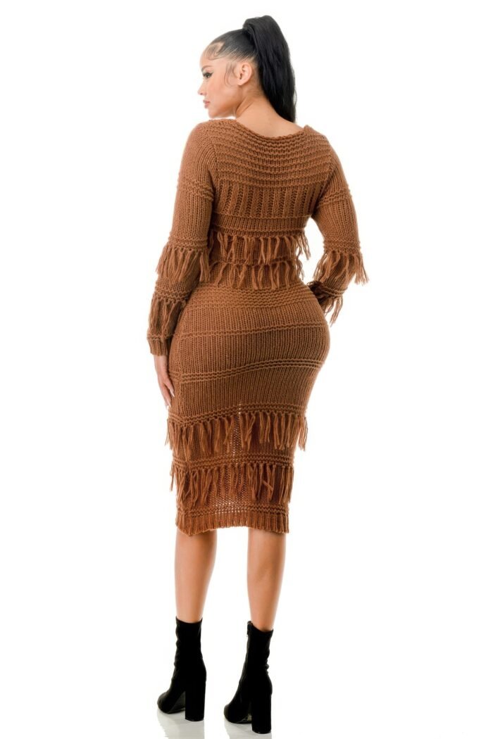 Knit long sleeve fringe dress