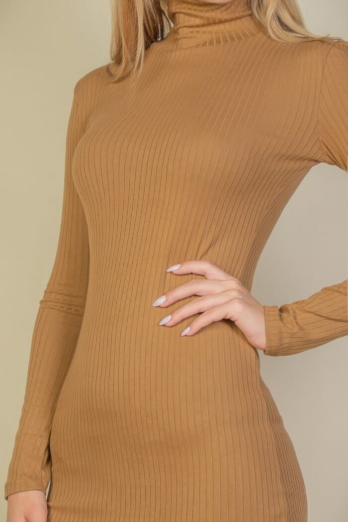 Ribbed mock neck bodycon mini dress
