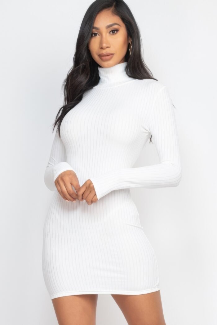 Ribbed mock neck bodycon mini dress