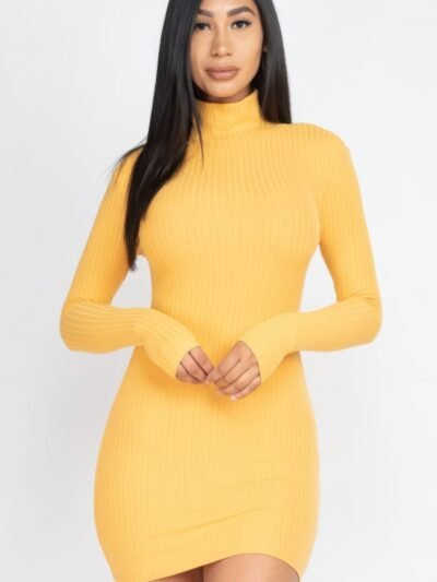 Ribbed Mock Neck Bodycon Mini Dress