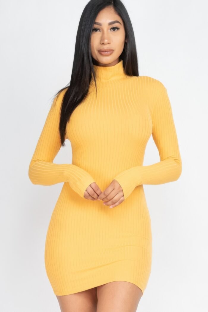 Ribbed mock neck bodycon mini dress
