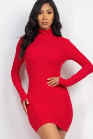 Ribbed Mock Neck Bodycon Mini Dress Ribbed Mock Neck Bodycon Mini Dress