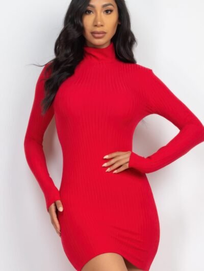 Ribbed Mock Neck Bodycon Mini Dress