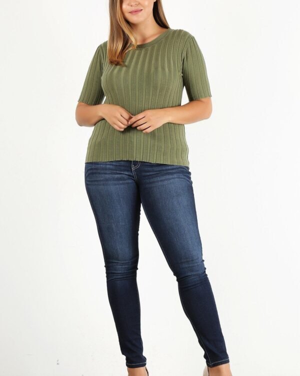 Plus Size Solid Print Fitted Top