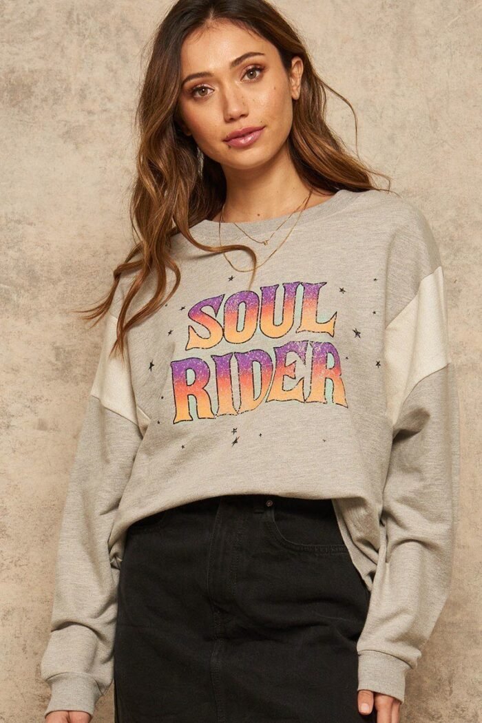 A french terry knit graphic sweatshirt