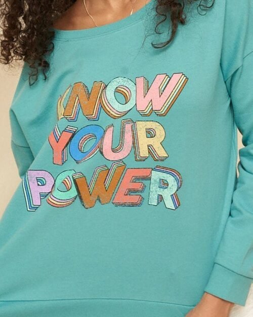 a mineral washed french terry graphic sweatshirt