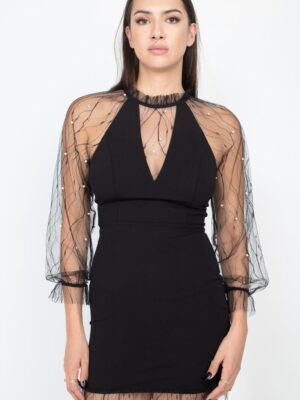 Pearl Trim Mesh Bodycon Dress