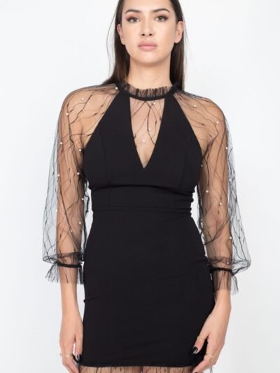 Pearl Trim Mesh Bodycon Dress