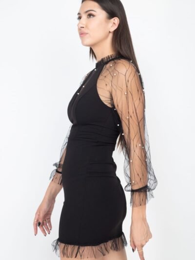 Pearl Trim Mesh Bodycon Dress Pearl Trim Mesh Bodycon Dress