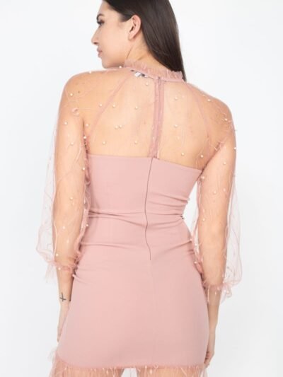 Pearl Trim Mesh Bodycon Dress Pearl Trim Mesh Bodycon Dress