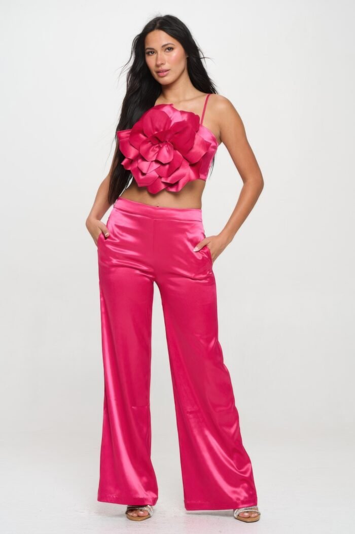 Crop top & pant set - image 1