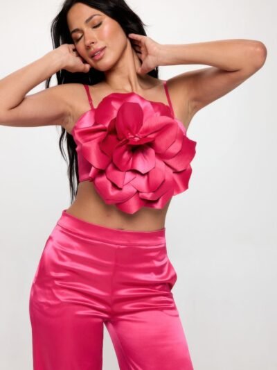 Crop Top & Pant Set