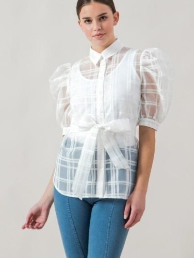 A See-thru Mini Length Organza Top A See-thru Mini Length Organza Top