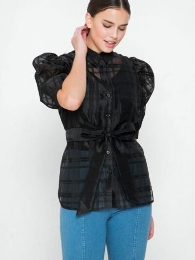 A See-thru Mini Length Organza Top