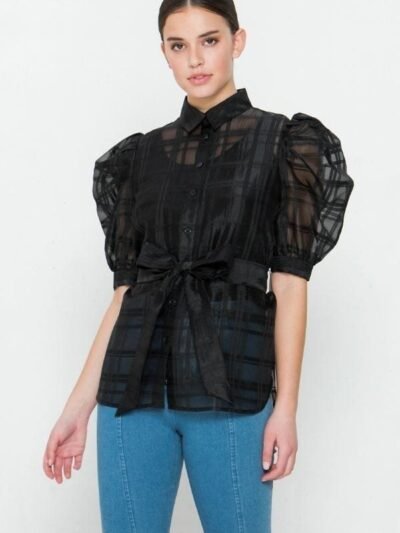 A See-thru Mini Length Organza Top A See-thru Mini Length Organza Top