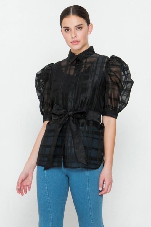 A See-thru Mini Length Organza Top - Image 2