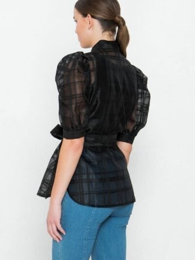 A See-thru Mini Length Organza Top A See-thru Mini Length Organza Top