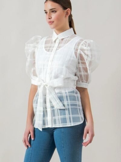 A See-thru Mini Length Organza Top A See-thru Mini Length Organza Top