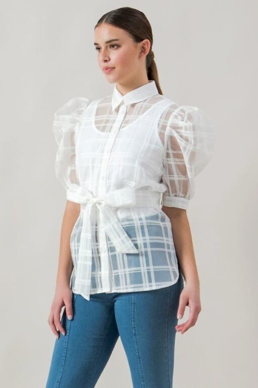 A See-thru Mini Length Organza Top - Image 6