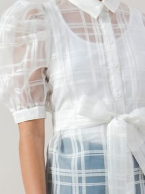 A See-thru Mini Length Organza Top A See-thru Mini Length Organza Top