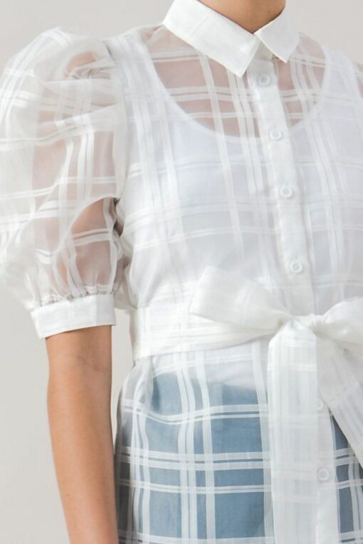 A See-thru Mini Length Organza Top - Image 7