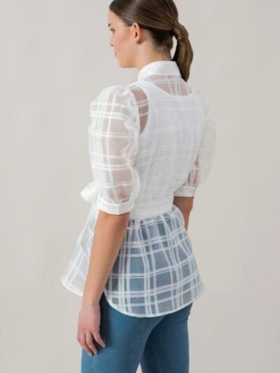 A See-thru Mini Length Organza Top A See-thru Mini Length Organza Top