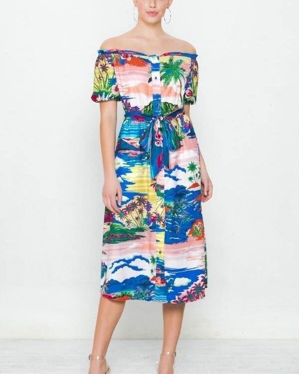 A Printed Woven Dress