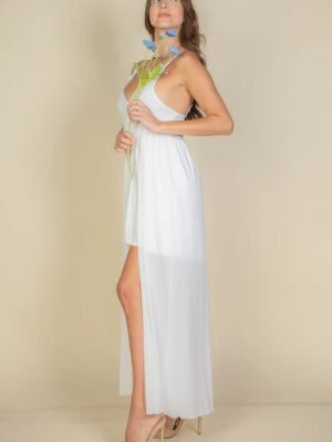 Plunge Neck Split Thigh Mesh Maxi Dress Plunge Neck Split Thigh Mesh Maxi Dress