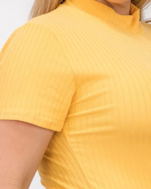 plus size ribbed short sleeve bodysuit