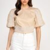 Puff Bubble Sleeve Top With Embroidery Detail