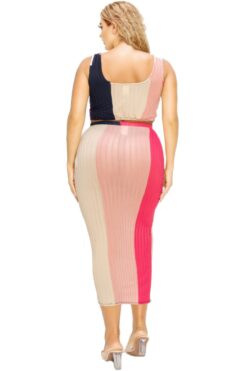 Plus Sleeveless Color Block 2 Piece Skirt Set